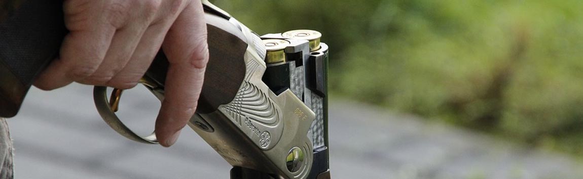 zoom sur la gchette de la carabine  plomb